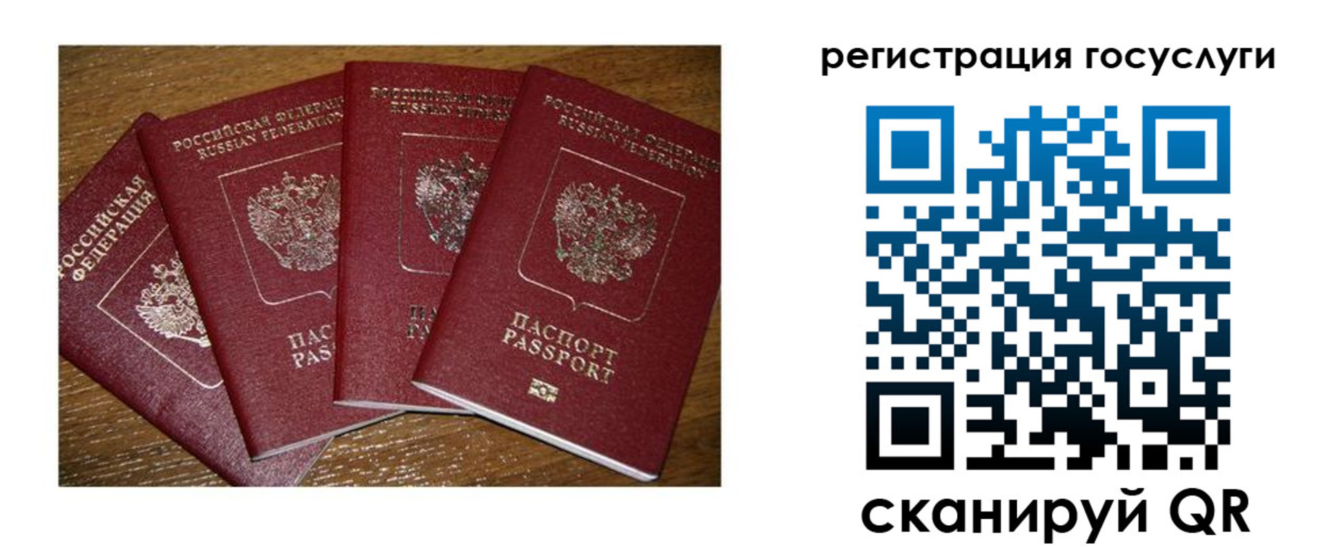 временная регистрация гарантия в Дрезне